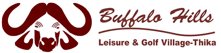 Buffalo Hills Blog